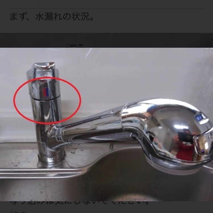 新品 未使用]タカギ一体浄水器 蛇口 シングル レバー 修理補修 交換