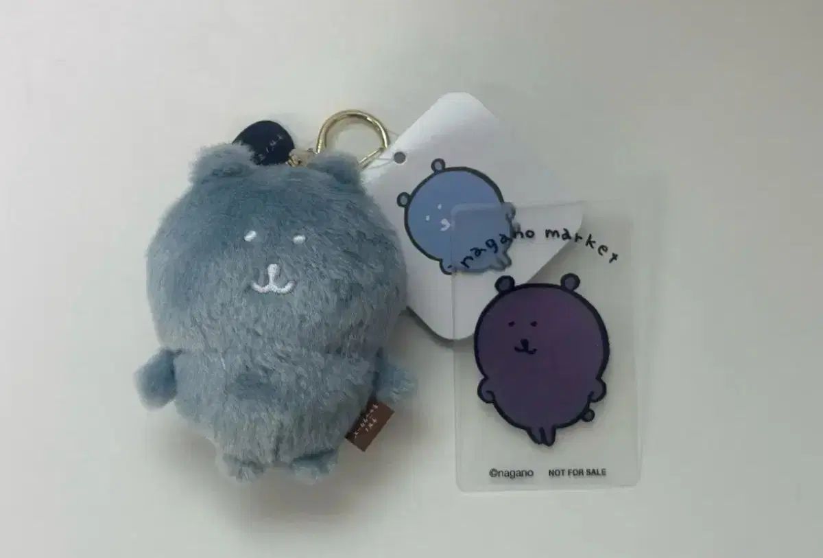 韓国限定 カラーなナガノのくま バニラ ブルーグレー クールグレー セット