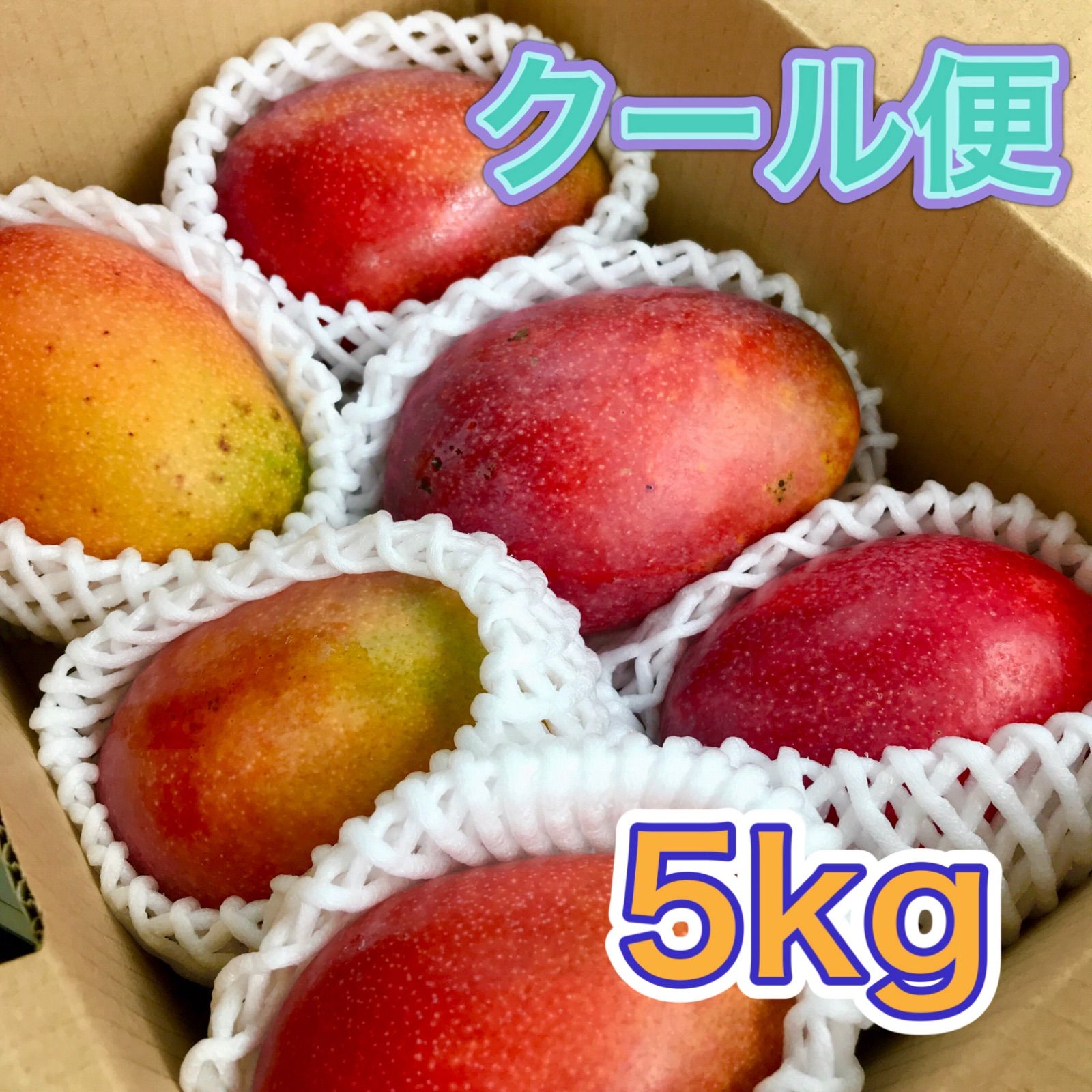 沖縄産　マンゴー　5kg 沖縄 豊見城産 【訳あり】アップルマンゴー5kg - メルカリ