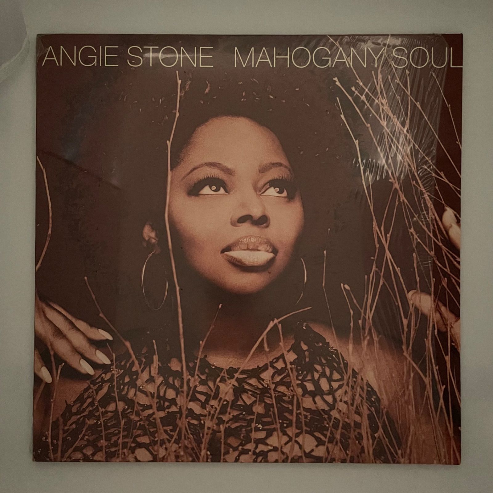 Angie Stone Mahogany Soul レコードlp Stone, Angie - Mahogany Soul [Vinyl] - Amazon.com Music