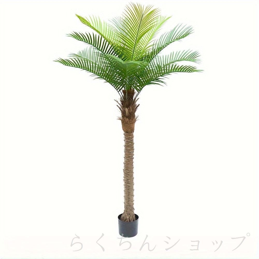 屋外 庭