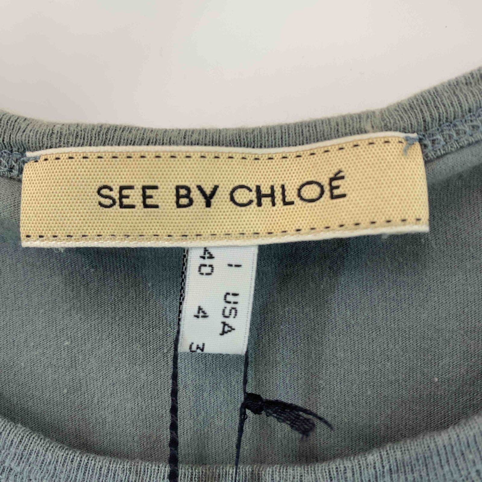 SEE BY CHLOE シーバイクロエ レディース プリント Tシャツ カットソー