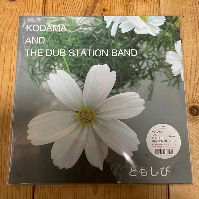 KODAMA AND THE DUB STATION BAND - COVER曲集 ♪ともしび