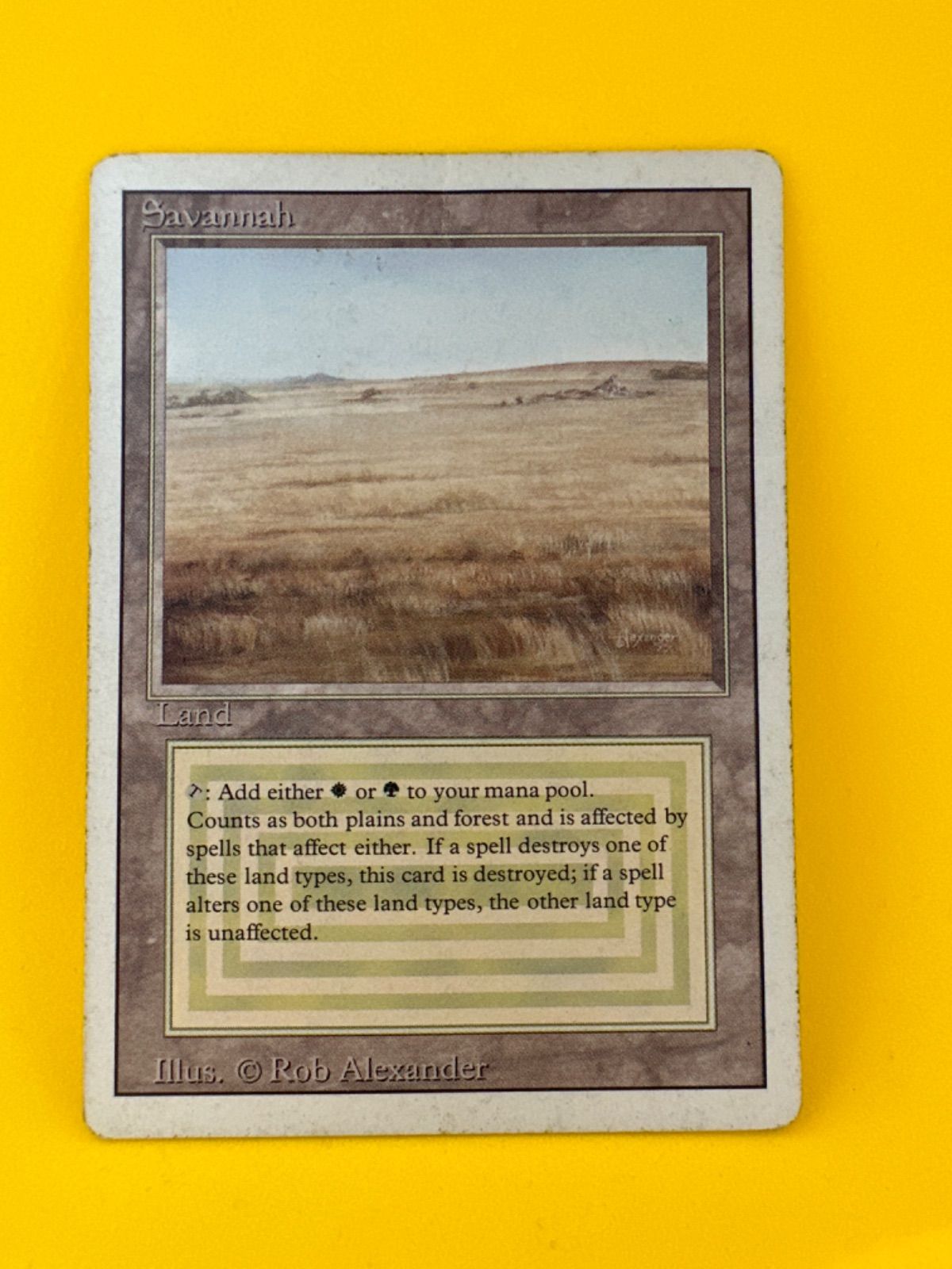 マジック：ザ・ギャザリング savannah英語版 Savannah サバンナ 英語版