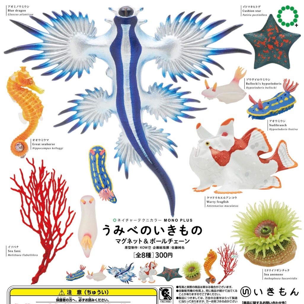 うみべのいきものマグネット&ボールチェーン海洋生物ガチャガチャMONOPLUSネイチャーテクニカラー