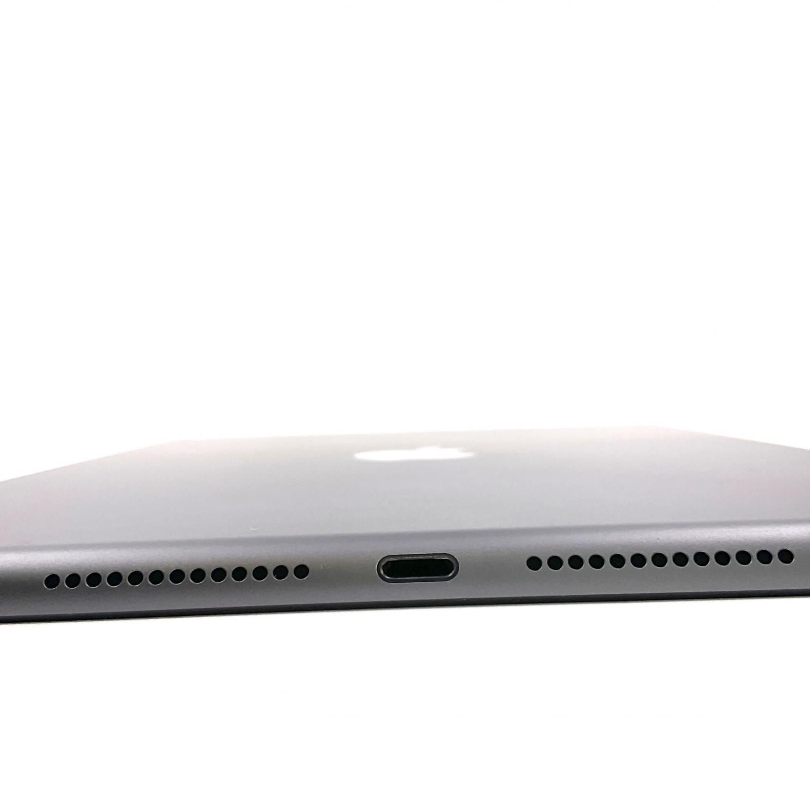 Apple iPad