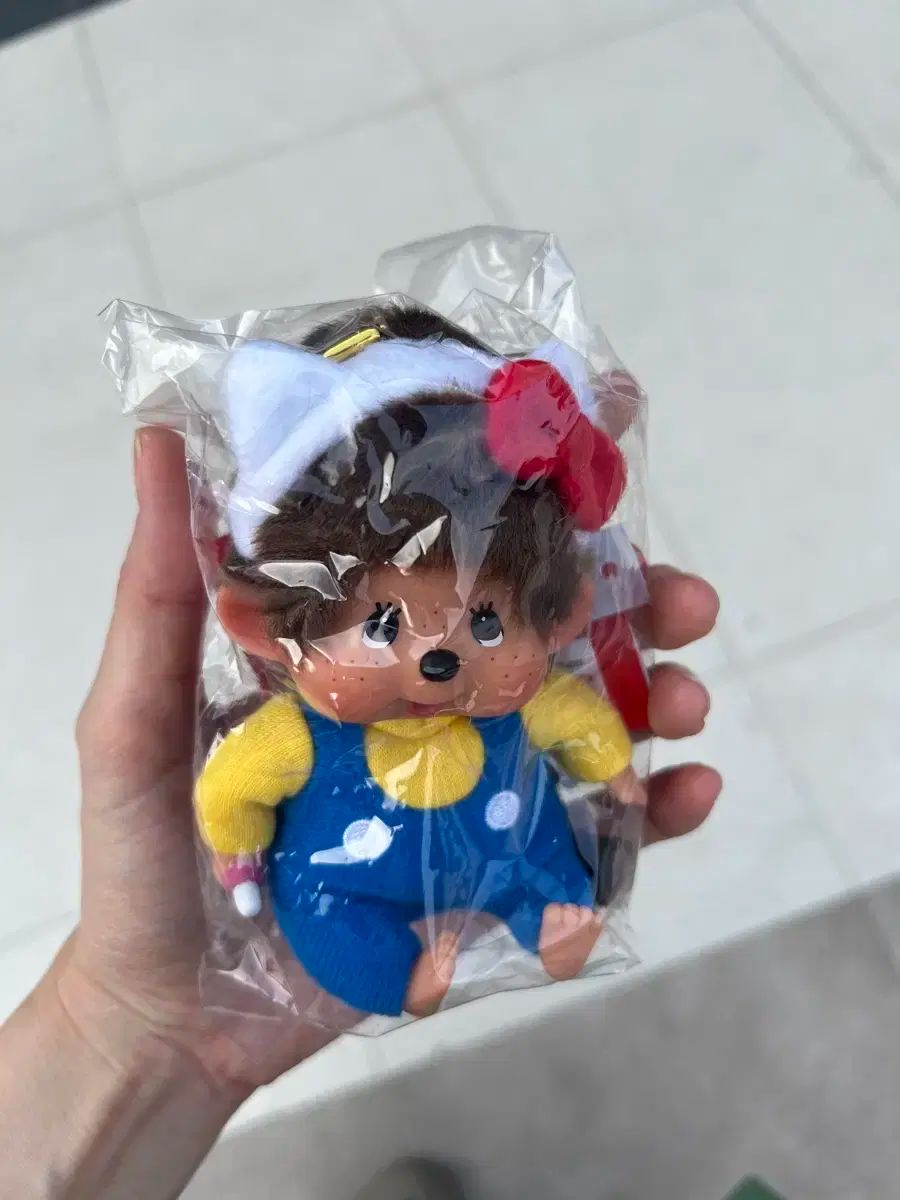 ヤシの木 ユスラヤシモドキ バンガローパーム ユスラヤシ 土から67