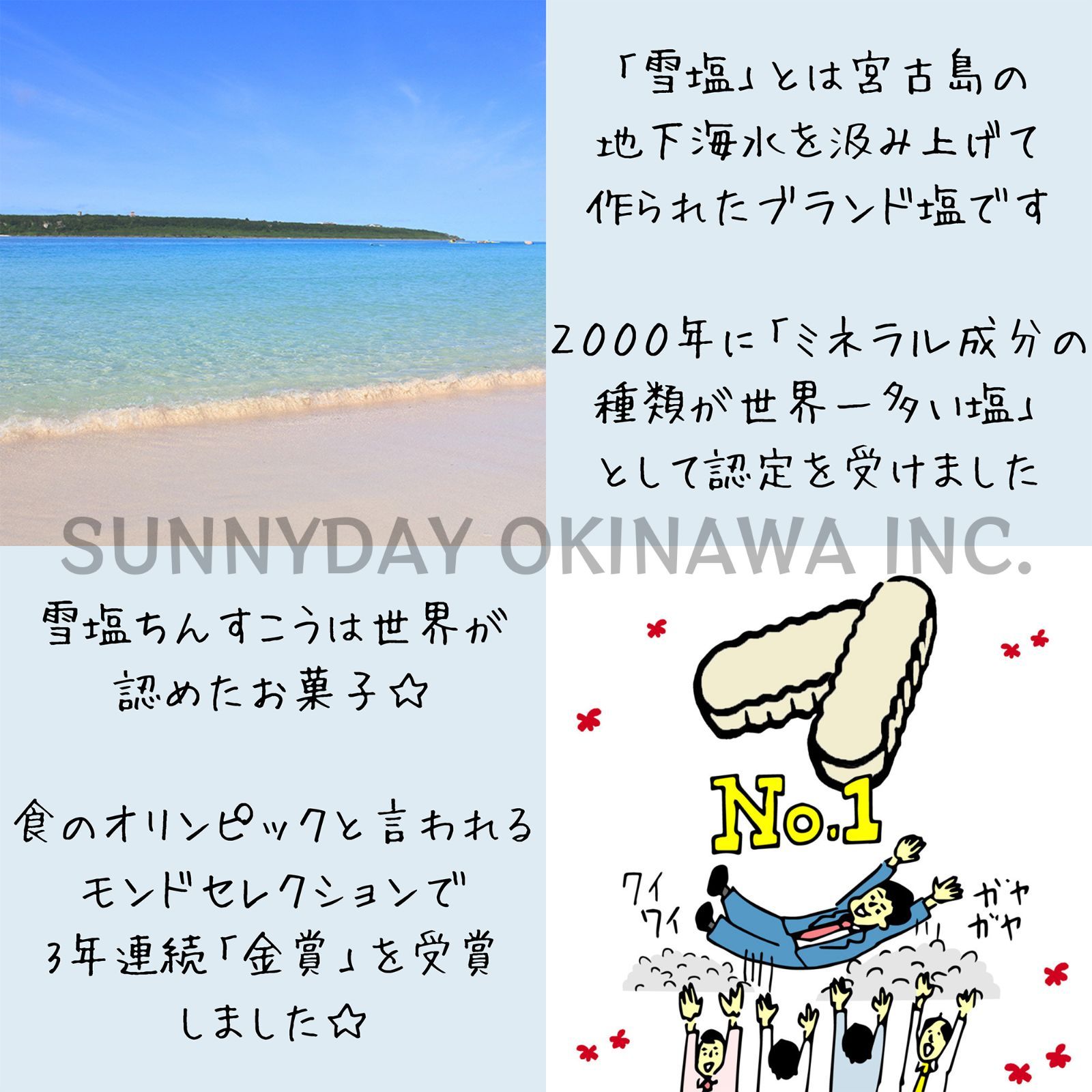 雪塩ちんすこう ミルク風味 大箱(48個入) 4箱 沖縄南風堂 沖縄お土産 お取り寄せ