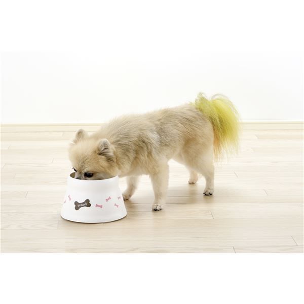 まとめ こぼれにくい 脚付ドッグディッシュ S ホワイト ×10セット