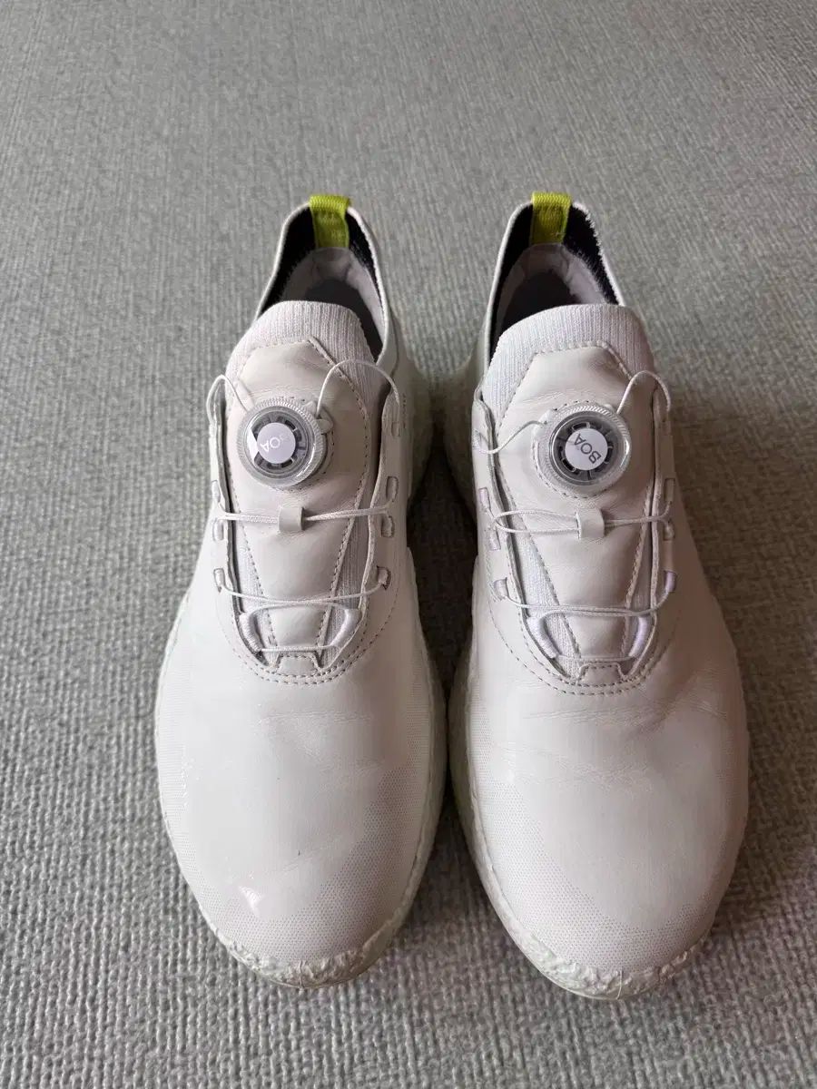Ecco エコー バイオム H5 ボア メンズ ゴルフシューズ
