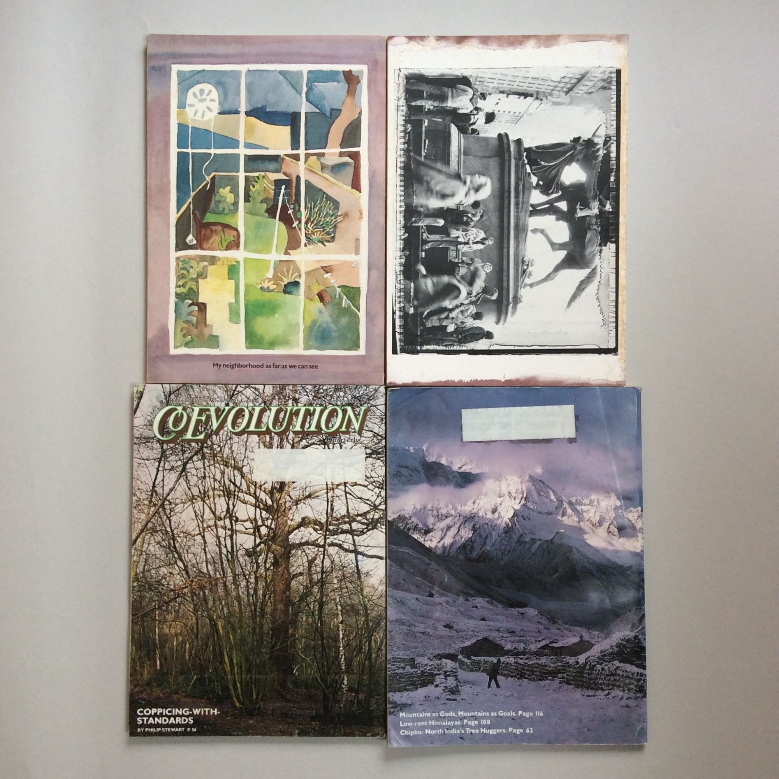 CoEvolution Quarterly 13冊 (No.28, 1980 − No.41, 1984）編集長 Stewart  Brand（スチュアート・ブランド） ／ Whole Earth Catalog