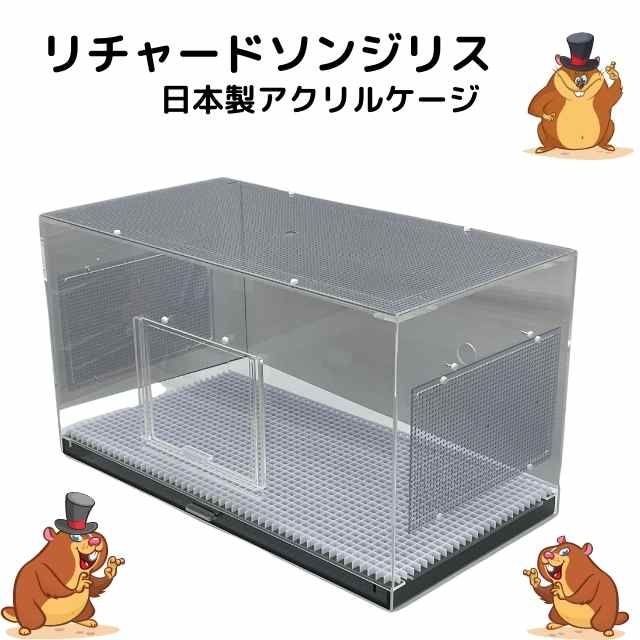 累計販売実績87台】リチャードソンジリス 80cm アクリル 高級 飼育 