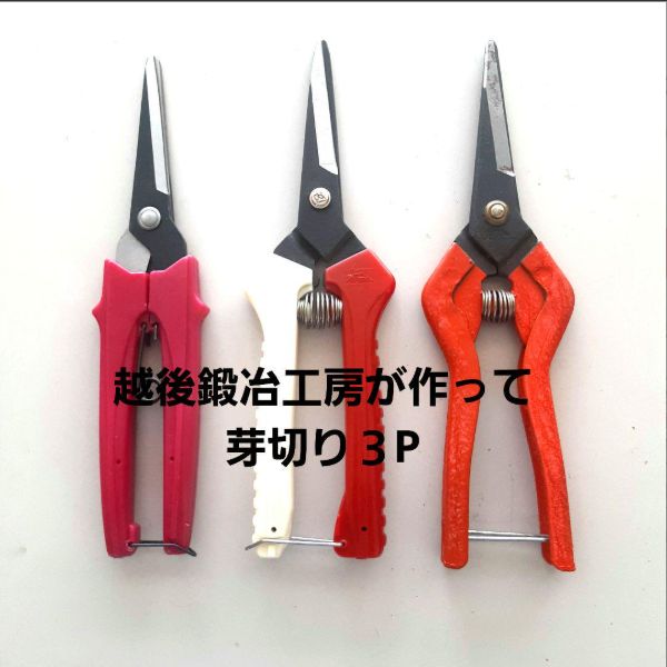 越後鋼治工房 芽切りばさみ 3本セット - メルカリ