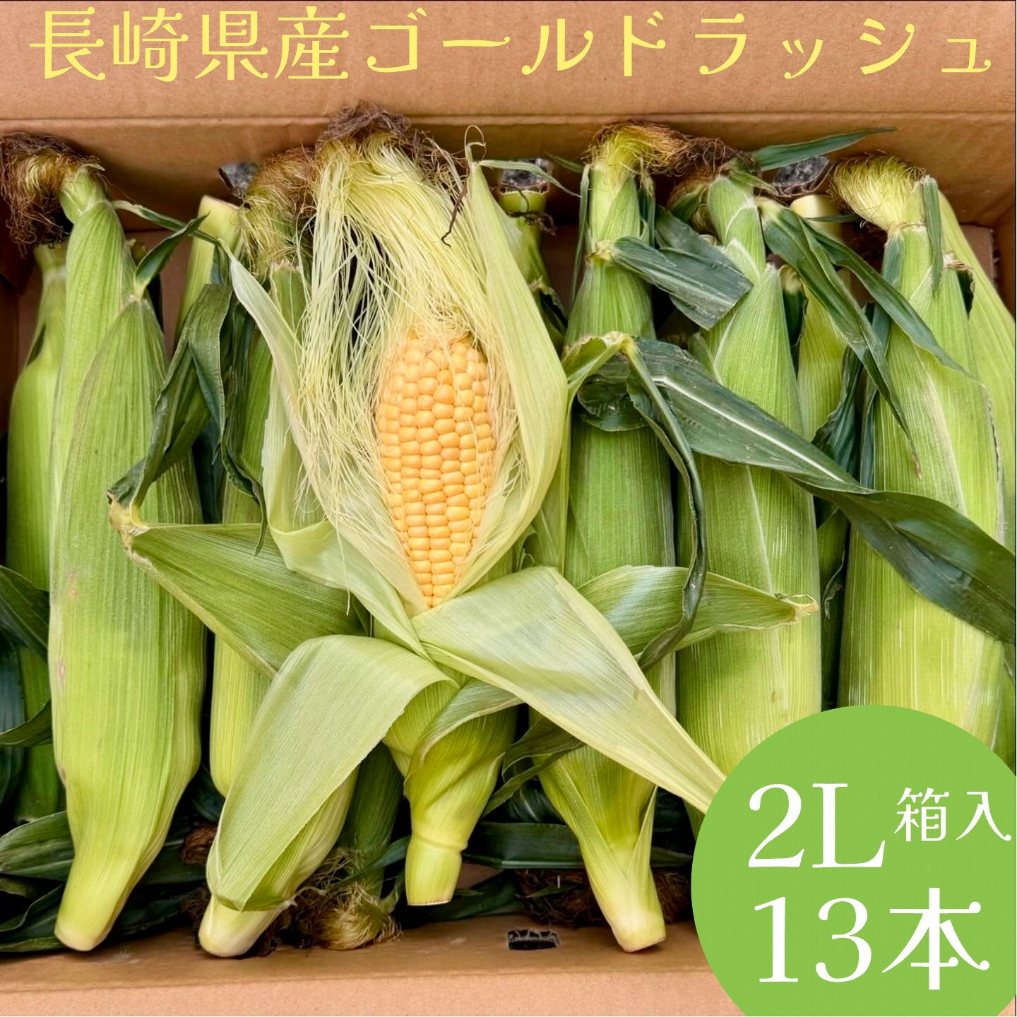 ★【新鮮・朝どれ‼️発送】贈答にも　宮崎県産 　高糖度　とうもろこし 新鮮・朝どれ‼️発送】贈答に 宮崎県産 高糖度 とうもろこし М