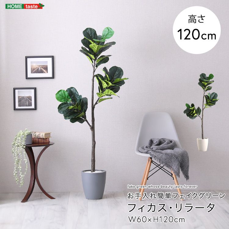 お手入れ簡単フェイクグリーン フィカス リラータ Sサイズ 2801