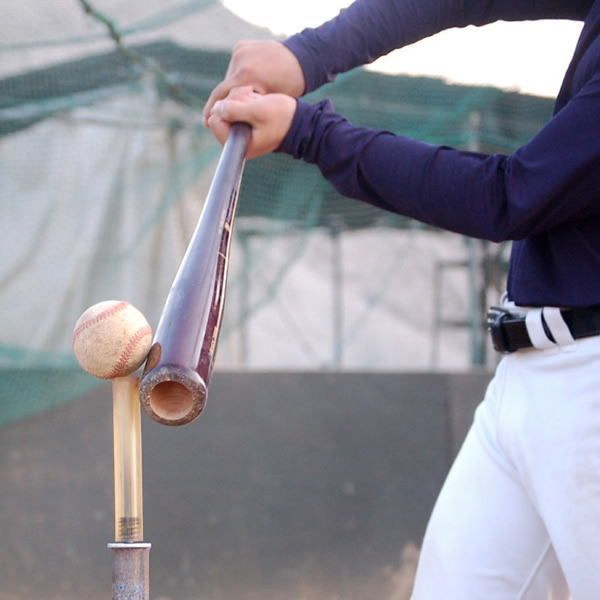 サクゴエ 最新進化版