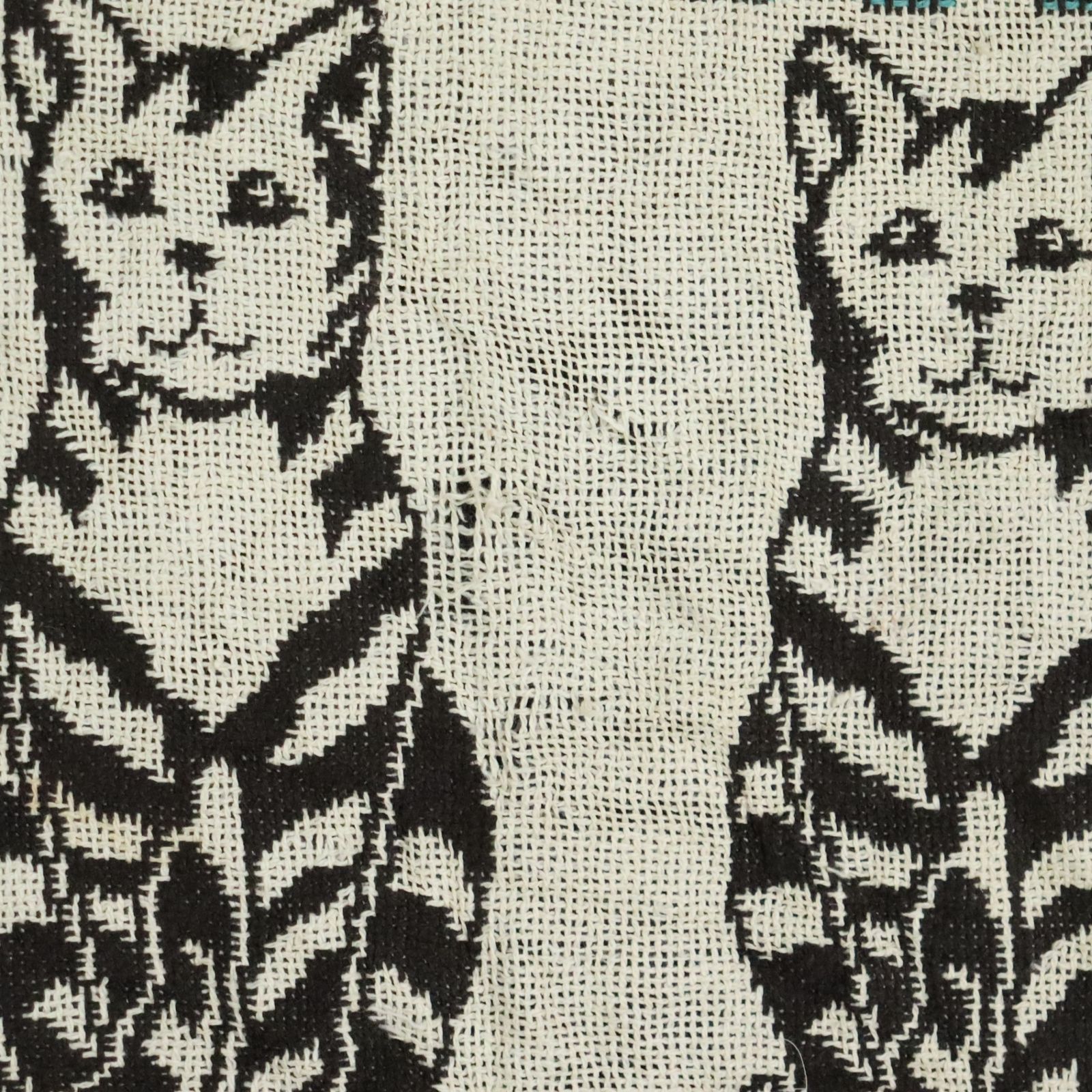 D6-4/O4.1-3 猫 キャット 林檎 スイカ 果物 フルーツ ラグ