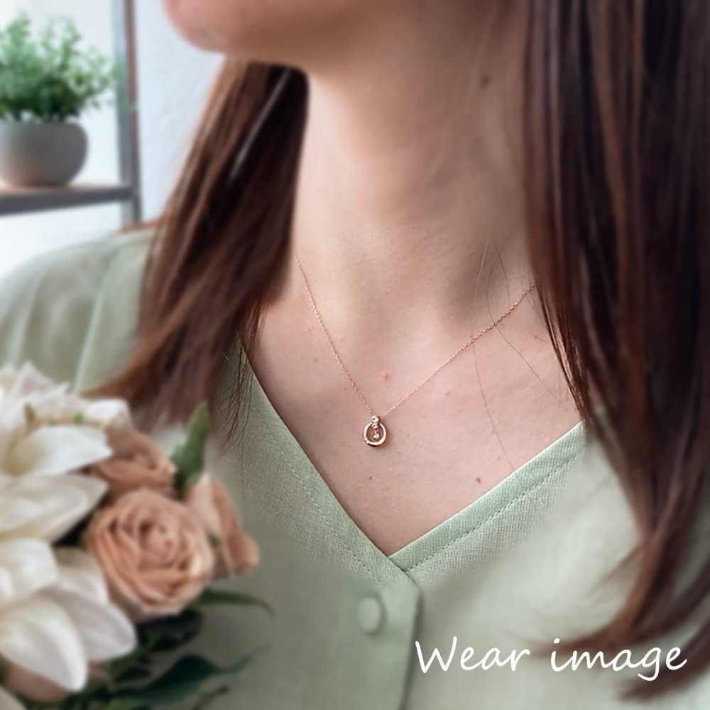 新着商品 ダイヤモンド サークル ピンクゴールド ペンダント ネックレス PINKY-DIANNE ギフト 特別ケース ピンキー-ダイアン DPCPD80607 STEELWINDOWSANDDOORS_COM