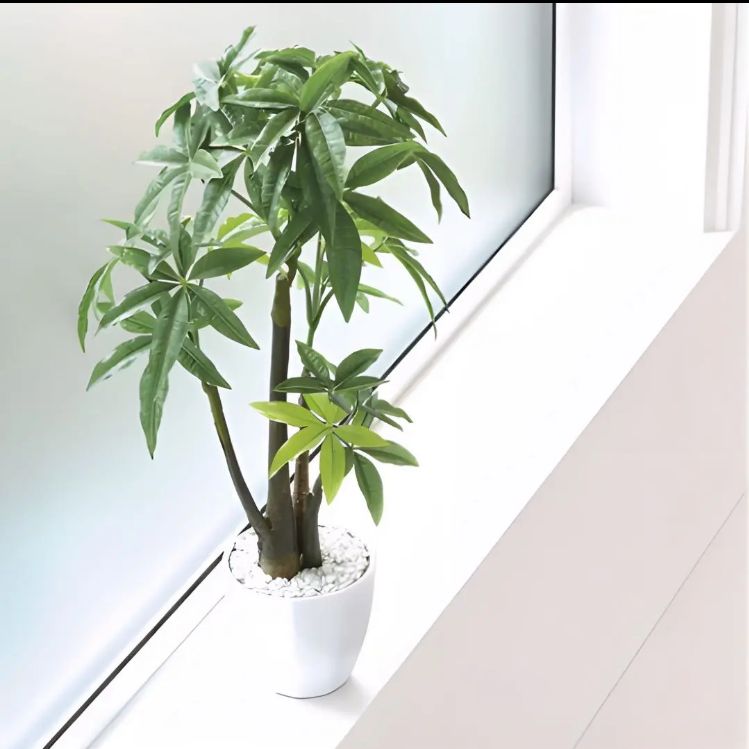 光触媒人工観葉植物ウォールグリーンフェイクグリーン丸刈パキラ105 光触媒人工観葉植物ウォールグリーンフェイクグリーン丸刈パキラ105