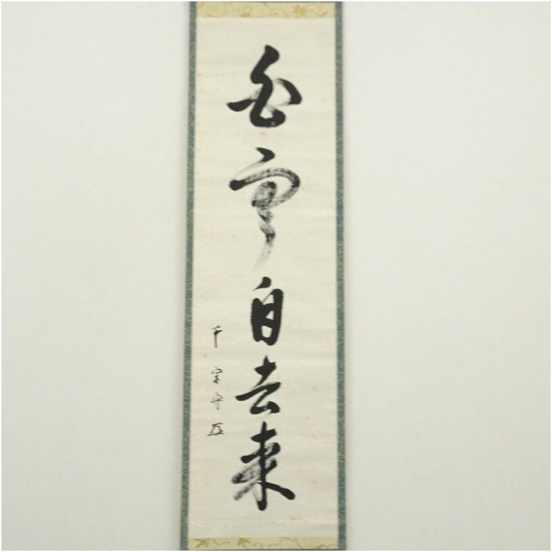 武者小路千家 十三代 有隣斎筆 白雲自去来 一行書 肉筆紙本掛軸 掛け軸 床の間 書 おしゃれ 絵画 表具 芸術 茶道 年中掛け インテリア 茶掛 掛物 和室 8月 12月 7月 夏冬