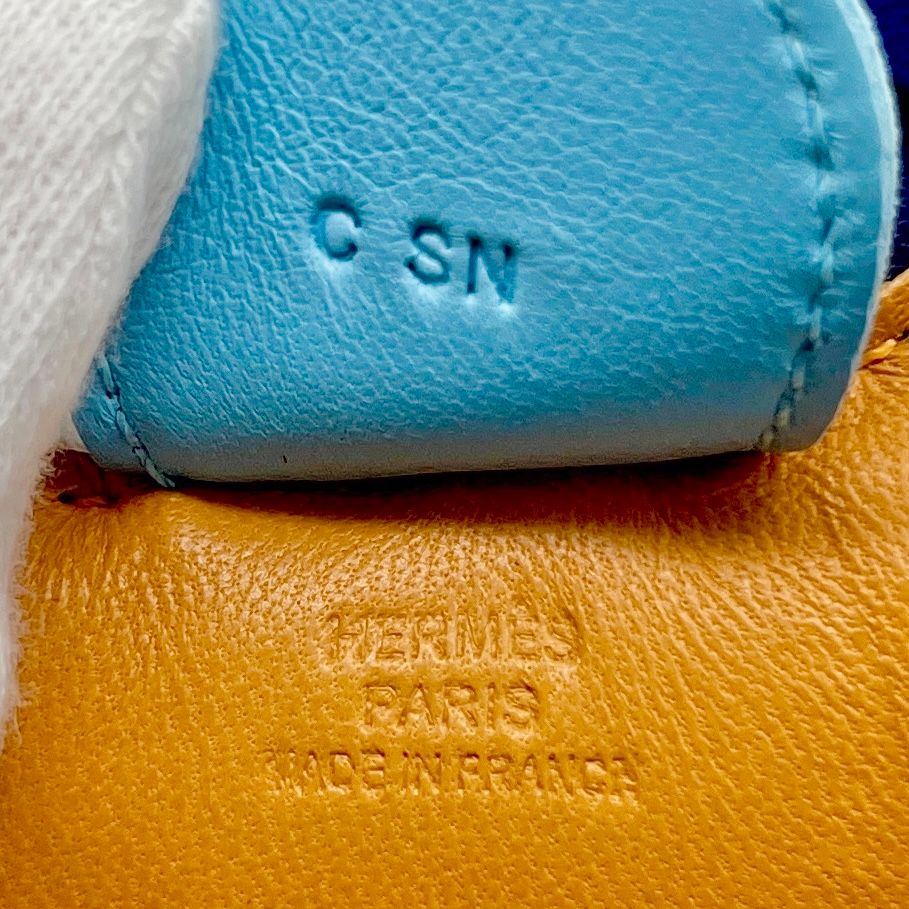 塊根植物 ジオメトリックポット付き 約20cm