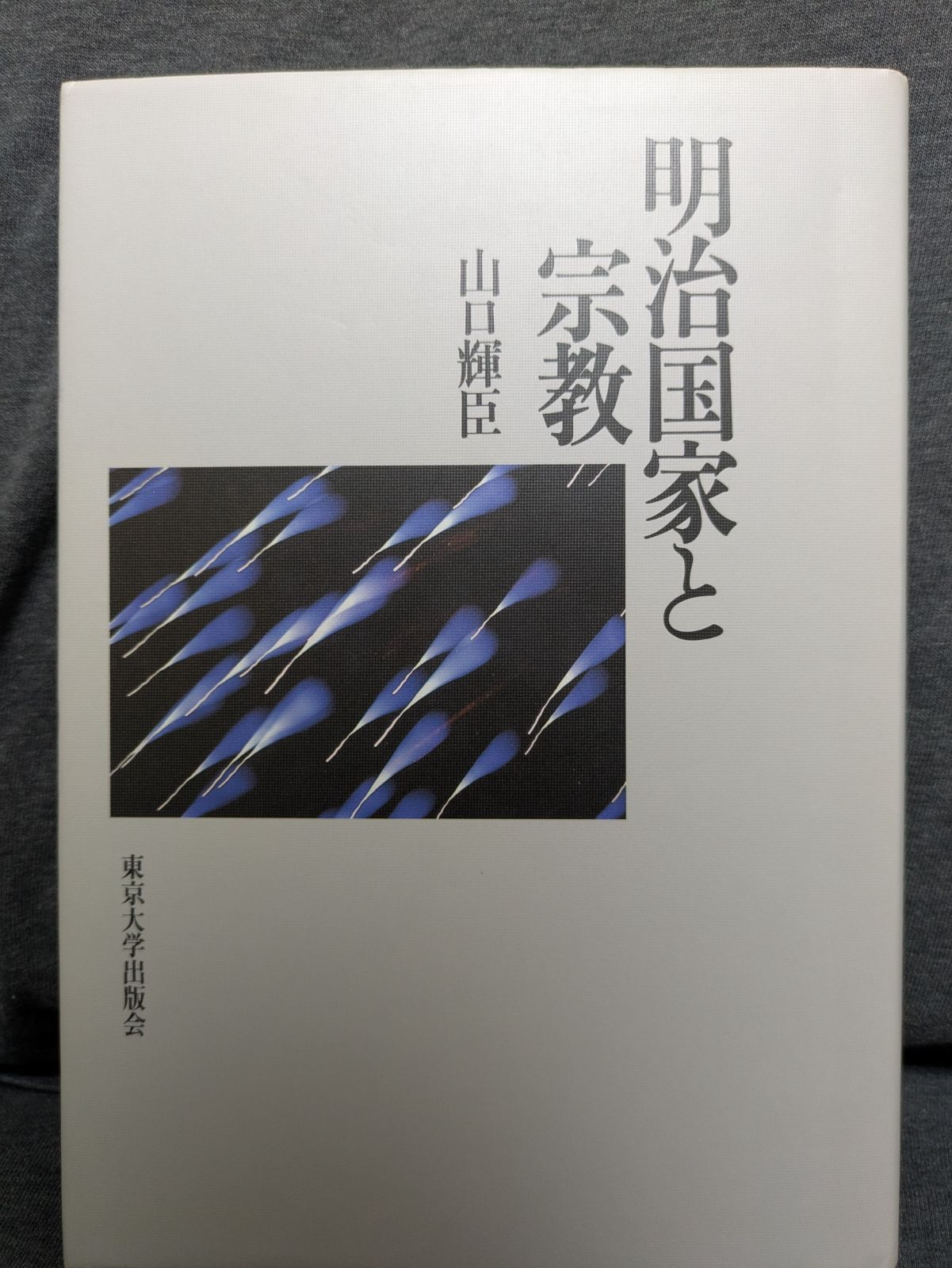 明治国家と宗教 (山口輝臣/東京大学出版会)