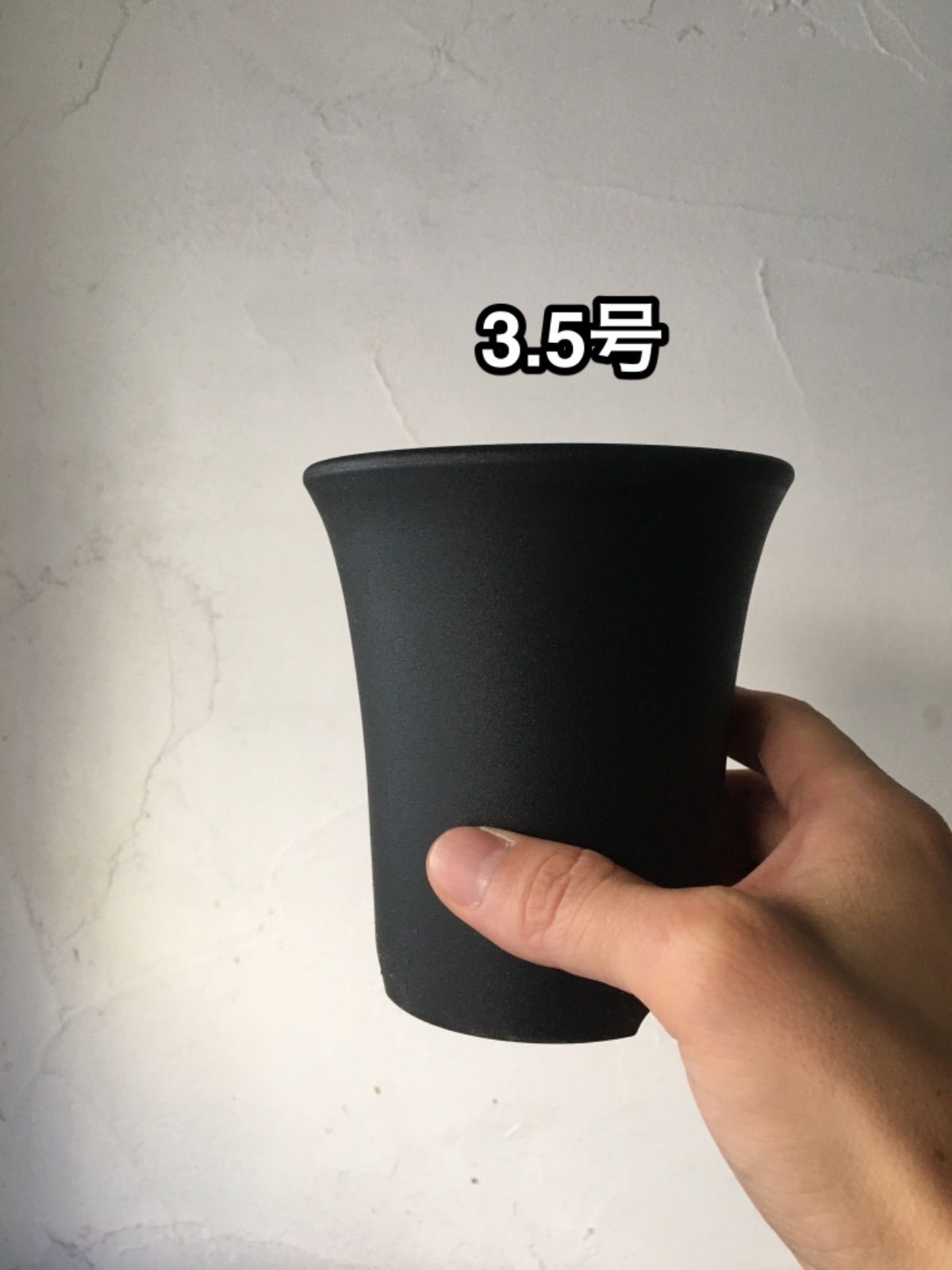 駿河蘭(蘭鉢ごと)NO.2 8/13撮影 メルカリ便発送 駿河蘭(蘭鉢ごと)NO.2 8/13撮影 メルカリ便発送 - メルカリ