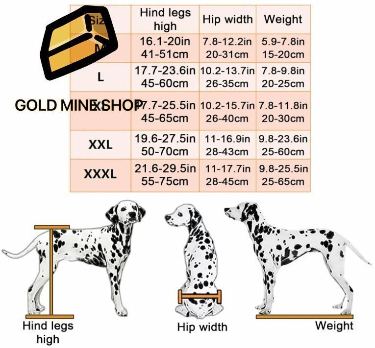 大型犬用車椅子 犬用歩行器
