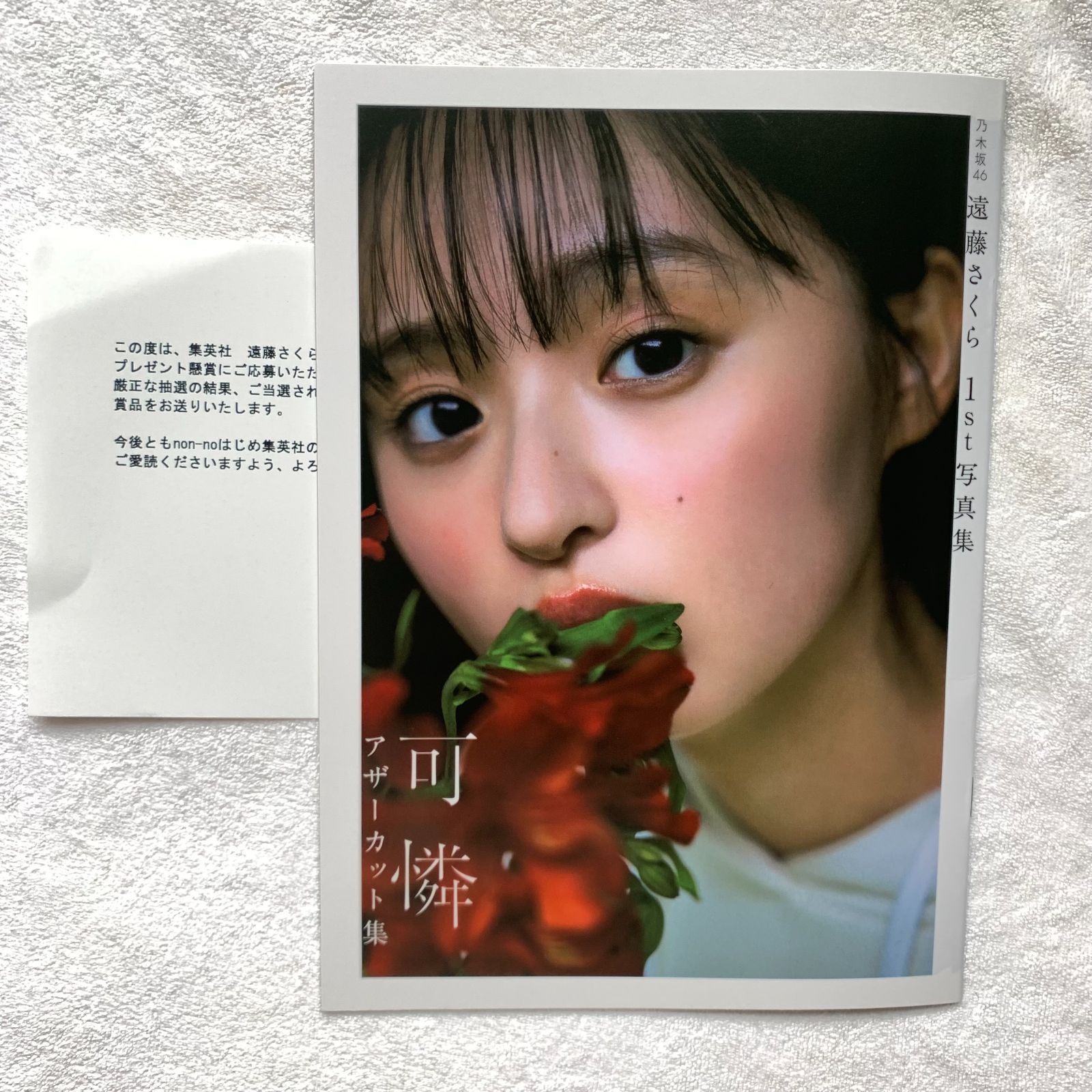 乃木坂46遠藤さくら1st 写真集 可憐 アザーカットミニブック