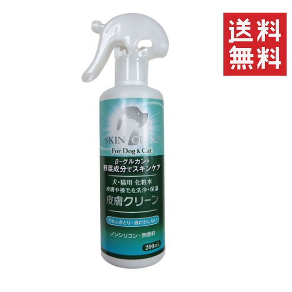 こんぶ様専用】遊戯王 スタンプ 神の宣告3枚 神の警告 3枚 プリシク アジア