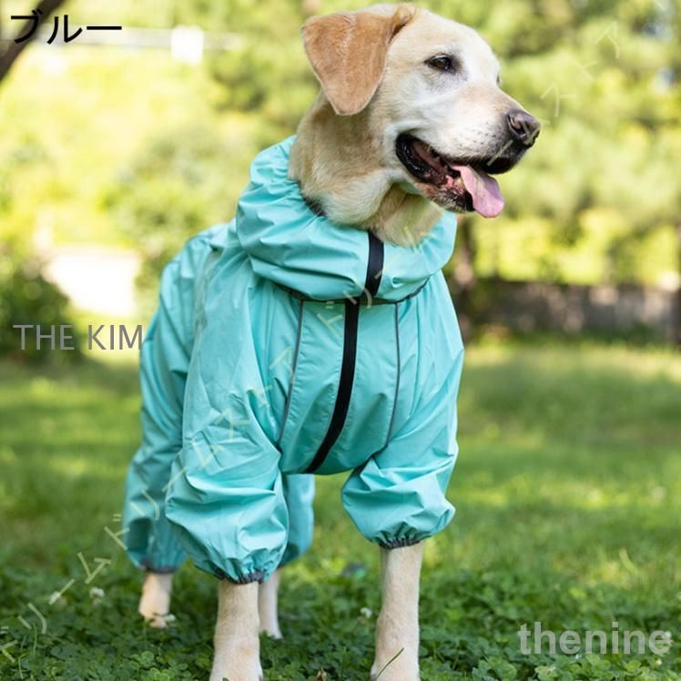 中型犬 大型犬
