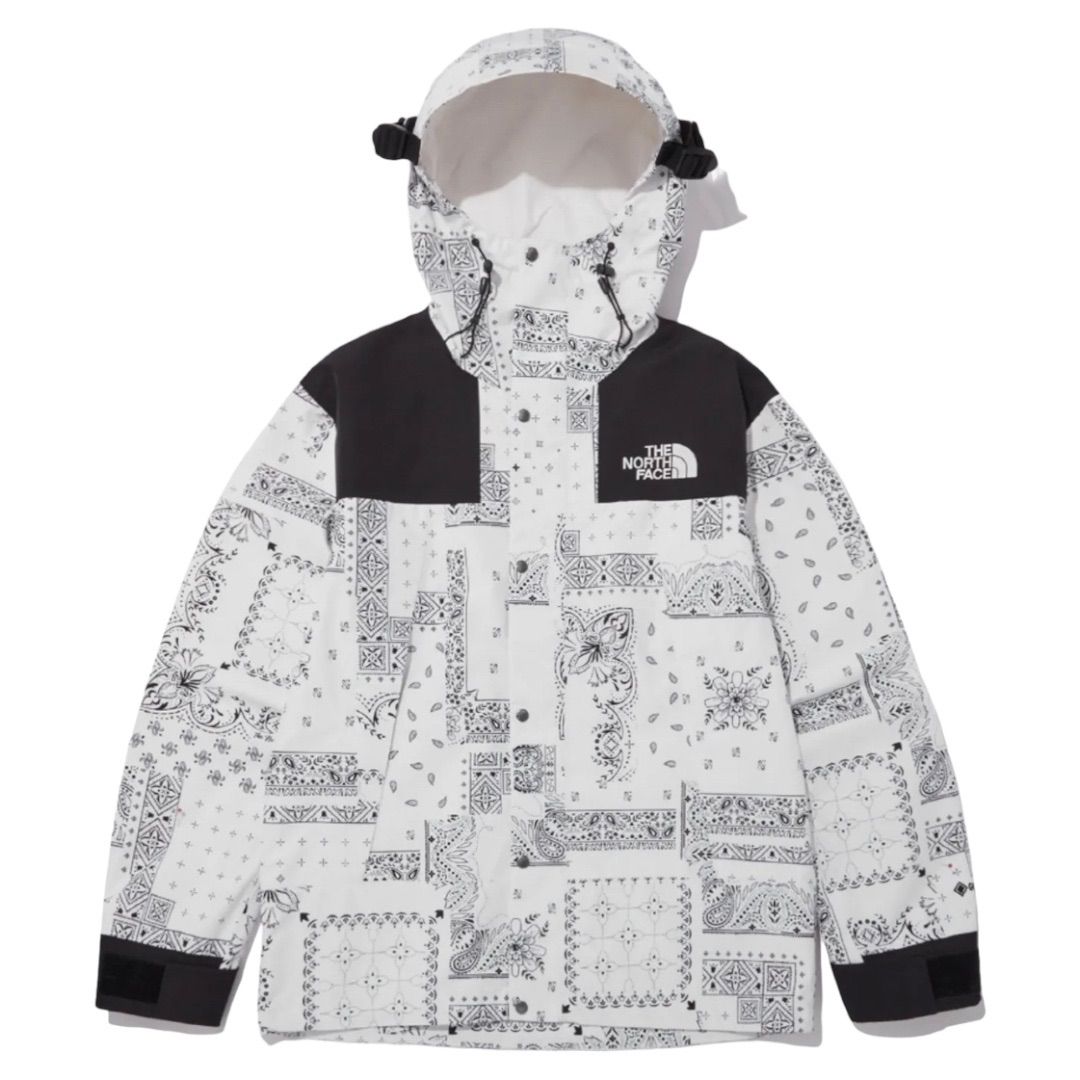 THE NORTH FACE ノースフェイス マウンテンジャケット ゴアテックス 