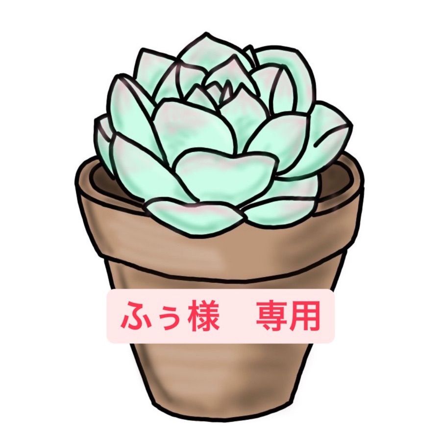 ふぅ様 専用 - メルカリ