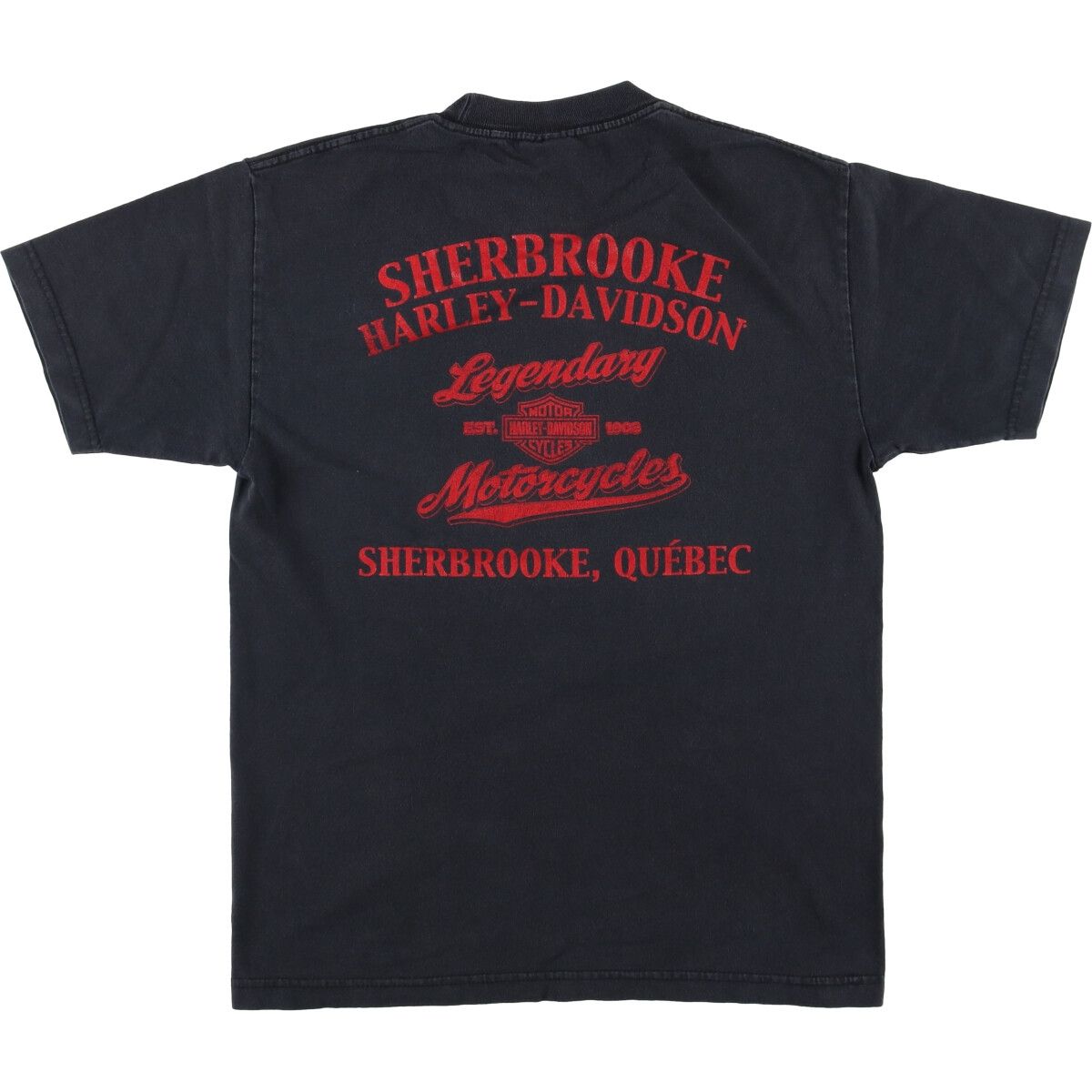 古着 ハーレーダビッドソン Harley-Davidson ピンナップガール モーターサイクル バイクTシャツ メンズM相当 eaa589975