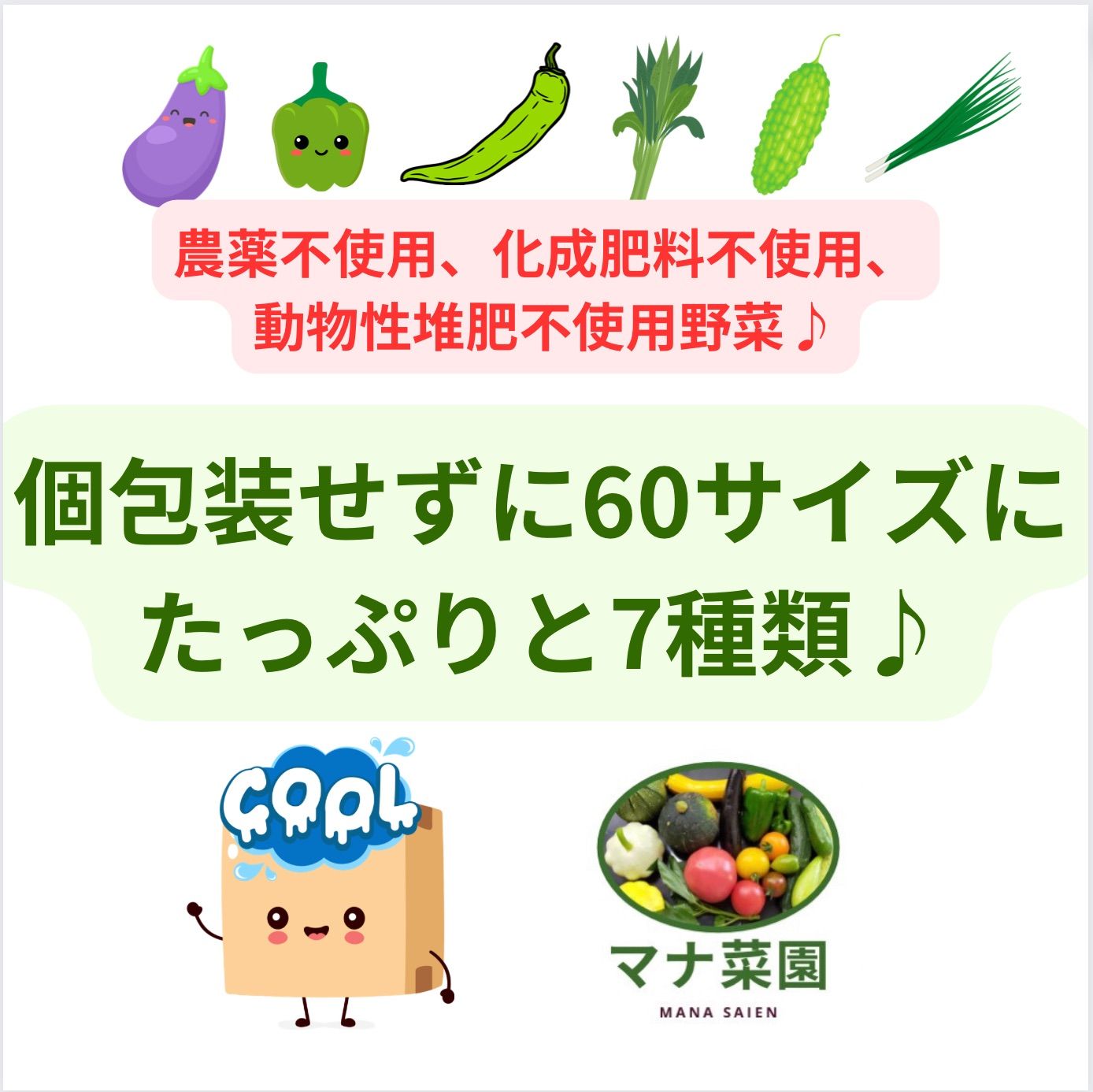 訳ありお野菜セット🥗数量限定♪マナ菜園。農薬、肥料不使用