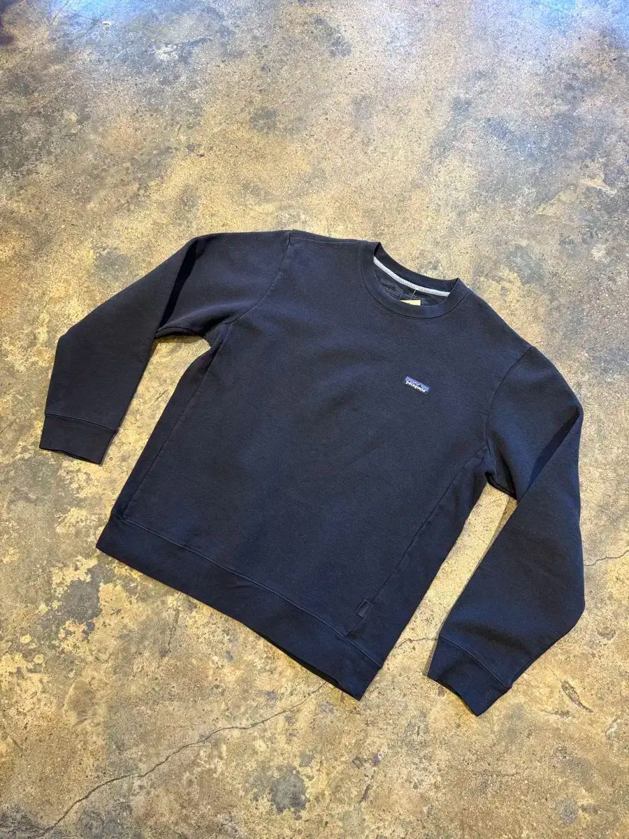 patagonia(パタゴニア) スウェットシャツ (M)