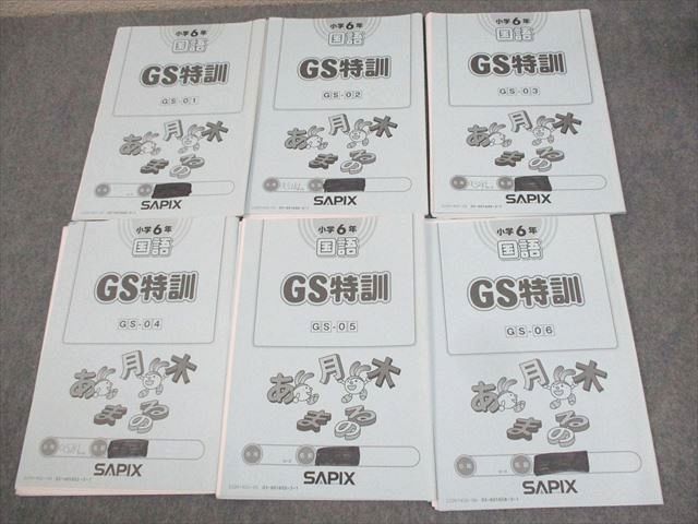 WI10-060 SAPIX サピックス 小6 国語 GS特訓 GS-01～06 2022年度版 計6冊  020S2D