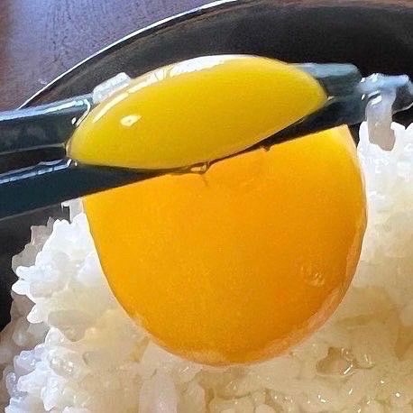 宮下養鶏の朝採れ平飼い卵 20個 大分県産 - メルカリ