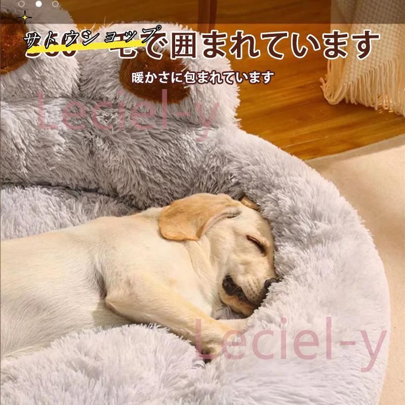 猫 小型
