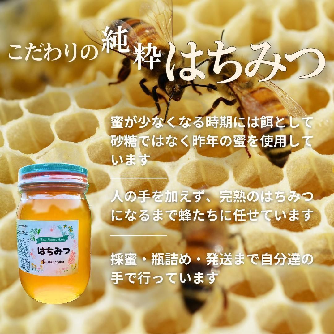 はちみつ 600g×3瓶 蜂蜜 ハチミツ 国産 はちみつ 600g×3瓶 蜂蜜 ハチミツ 国産