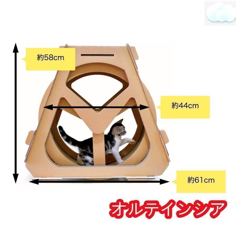 猫のトレッドミル