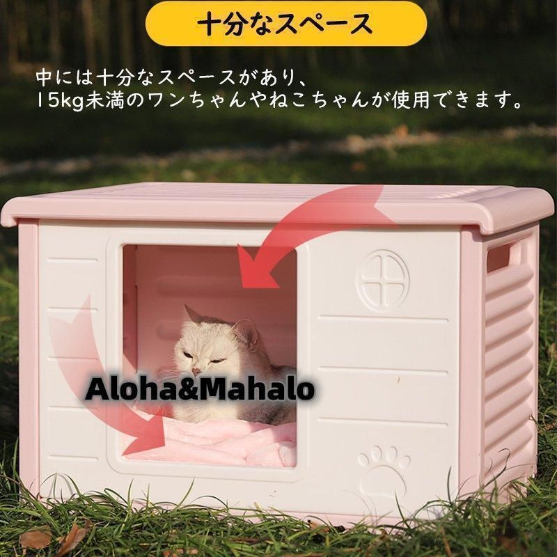 防風