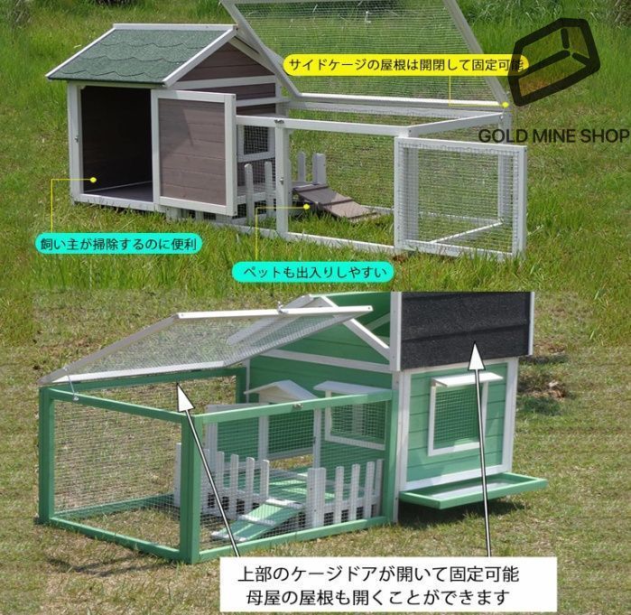 ウサギ 犬