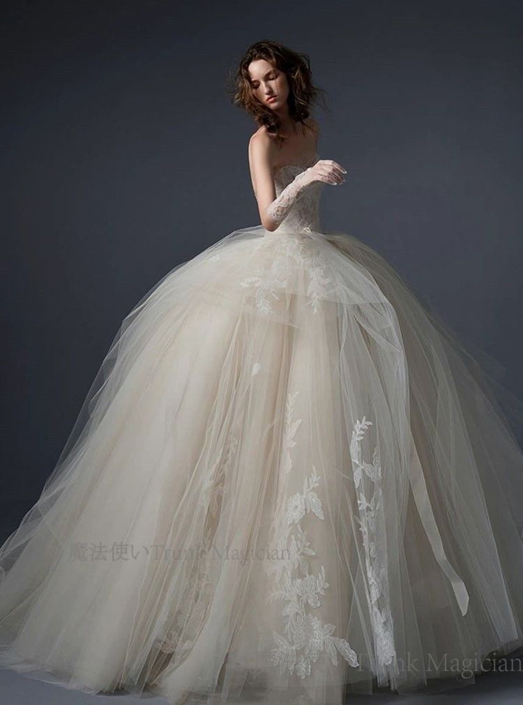 シアーウェディングドレスパーティーベアトップ CCVZ1026P240