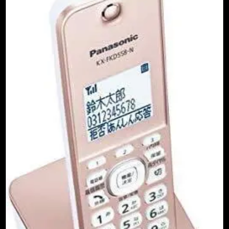 昨季賞金女王  子機1台付き　コードレス電話機 新品　パナソニック　‎VE-GZ51DL-N その他