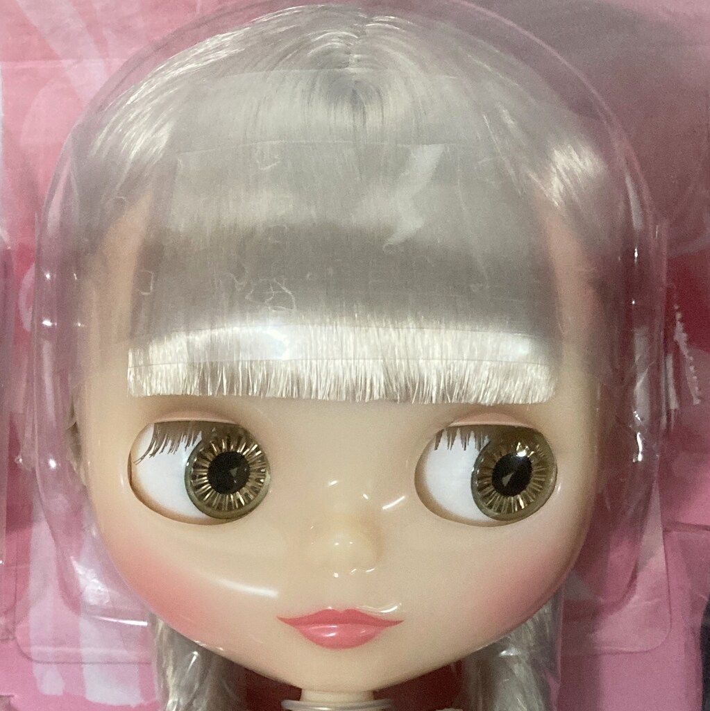 タカラトミー ネオブライス 18周年アニバーサリーブライス リーディングレディルーシー WWW_STEELWINDOWSANDDOORS_COM