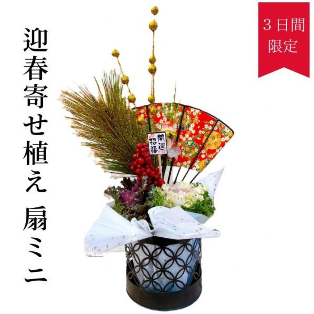 迎春飾り 寄せ植え 扇ミニ 2023年 正月飾り 玄関 年末飾り