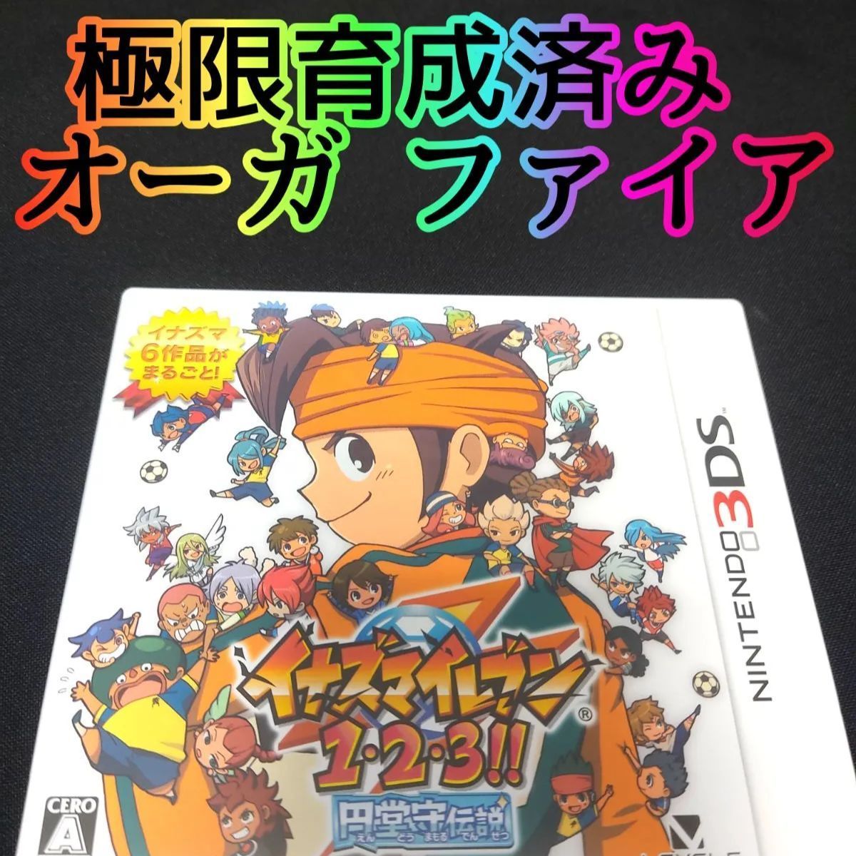 イナズマイレブン1・2・3 円堂守伝説 ファイア極限育成済み イナズマ