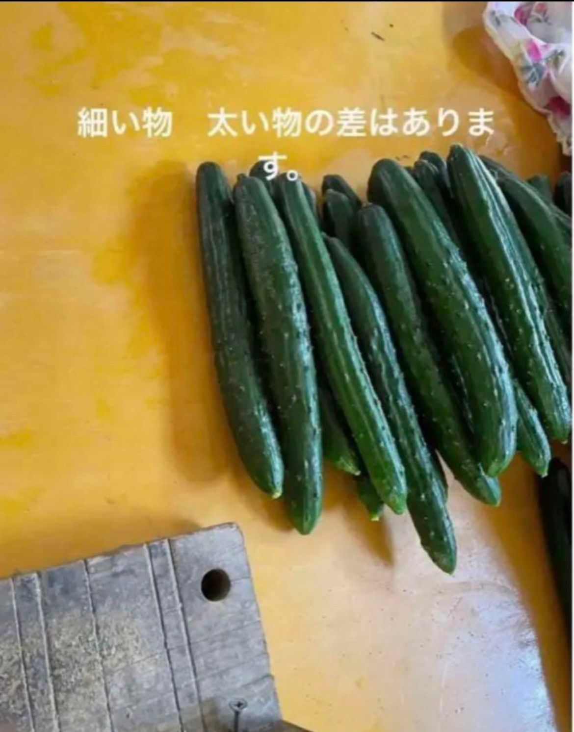 新鮮♬ 大分県産ハウスきゅうり　（胡瓜　キュウリ 新鮮 大分県産ハウスきゅうり （胡瓜 キュウリ - メルカリ