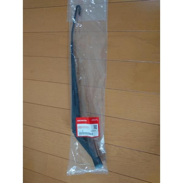 【中古】シダと変化葉ノキシノブ／小黒 順造／誠文堂新光社 中古】シダと変化葉ノキシノブ／小黒 順造／誠文堂新光社